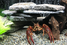 ミニチュアストーン