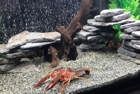 ミニチュアストーン